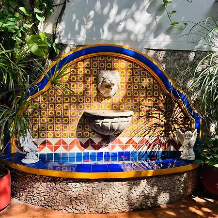 Casa Tres Colibries Bed and Breakfast Mérida Εξωτερικό φωτογραφία