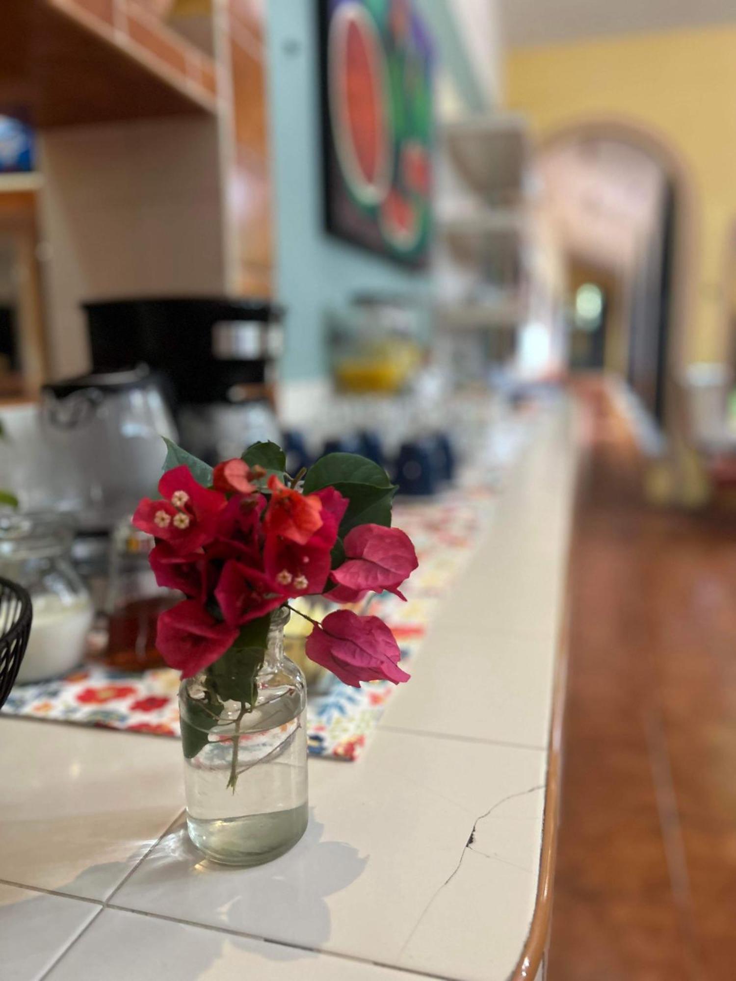 Casa Tres Colibries Bed and Breakfast Mérida Εξωτερικό φωτογραφία