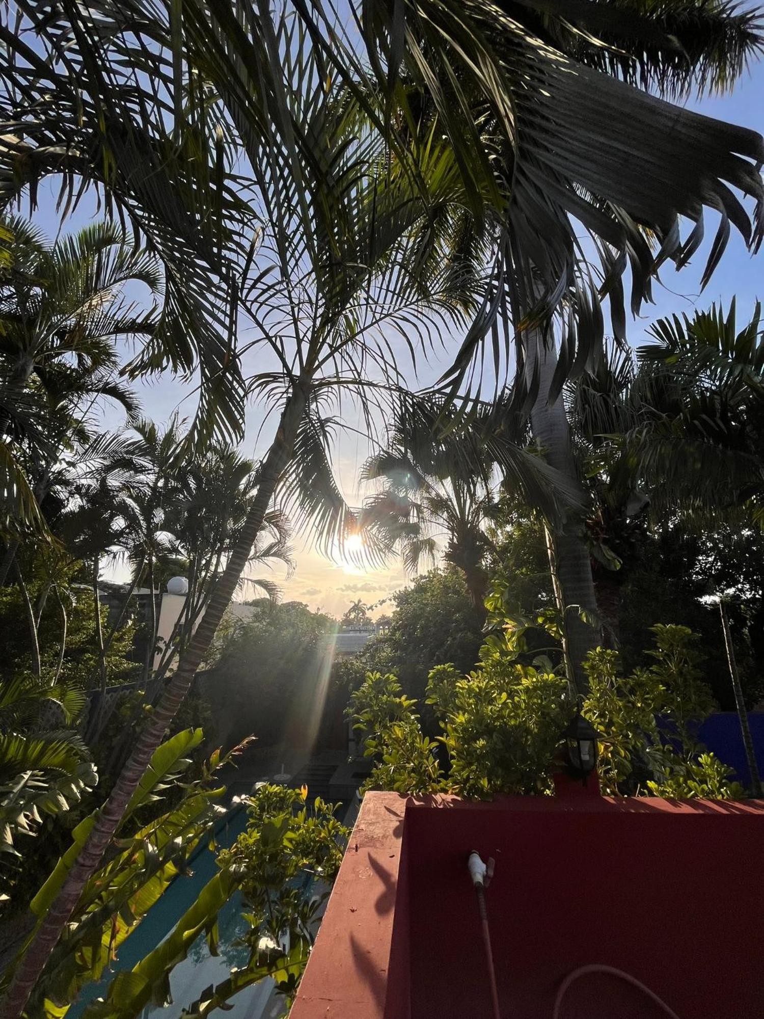 Casa Tres Colibries Bed and Breakfast Mérida Εξωτερικό φωτογραφία