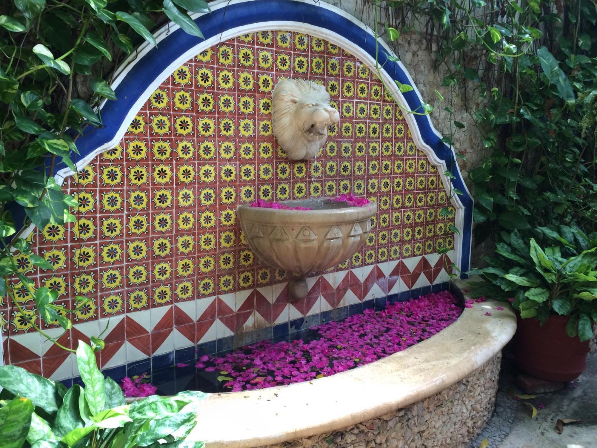 Casa Tres Colibries Bed and Breakfast Mérida Εξωτερικό φωτογραφία