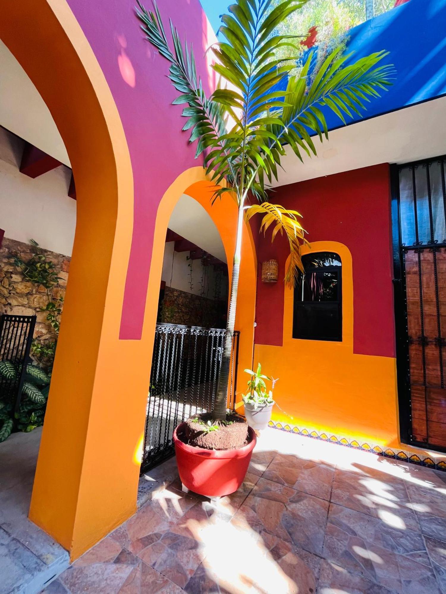 Casa Tres Colibries Bed and Breakfast Mérida Εξωτερικό φωτογραφία