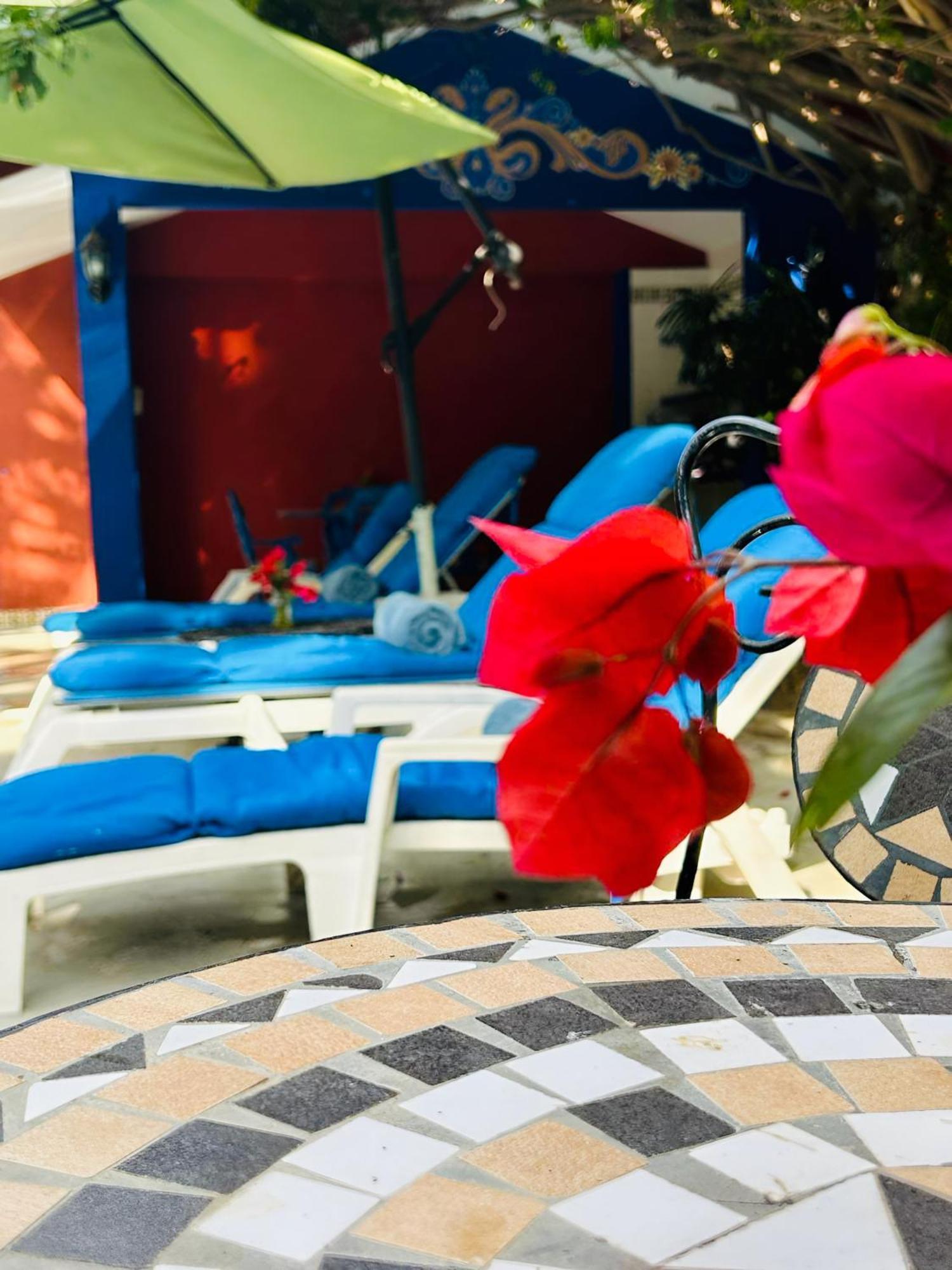 Casa Tres Colibries Bed and Breakfast Mérida Εξωτερικό φωτογραφία