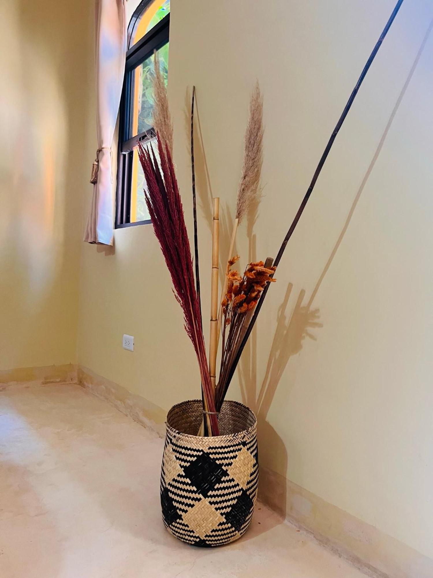 Casa Tres Colibries Bed and Breakfast Mérida Εξωτερικό φωτογραφία