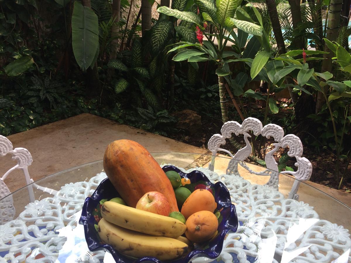 Casa Tres Colibries Bed and Breakfast Mérida Εξωτερικό φωτογραφία